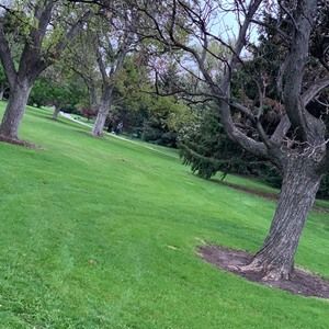 Meet your Posher, Reme